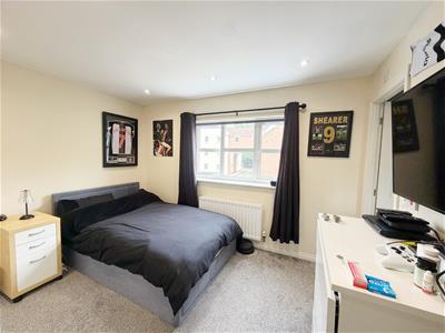 Picture 23